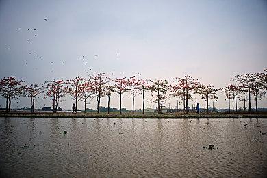 CDPR：《赛博朋克2077：往日之影》获得商业成功 购买率23%